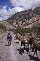 WT 1000 161-25 Nepal